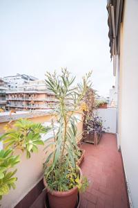 St. Peter Hill BuddyRent