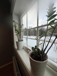 Mysig lägenhet på landet.