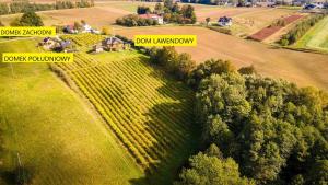 Dom Lawendowy w Winnicy Nad Źródłem