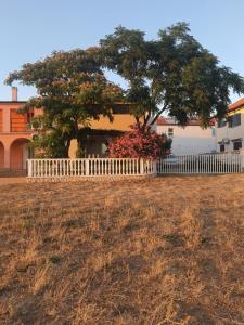 Haus Sunny - Ubytování bez kategorie ve městě Vrsi