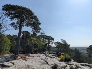 Sejours chez l'habitant Domaine Chapelle : photos des chambres