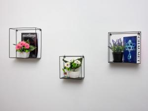 Appartamento Centro Storico Firenze Cosy apartament in Florence