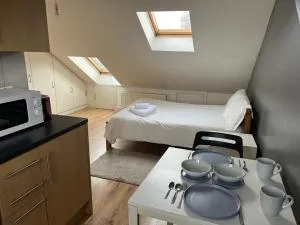 Private Studio Room With Your Shower and Kitchen - 哈林盖