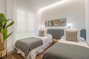 Accessible 2-Single Bed Apartment in Chamberí Adapted Bathroom, Quevedo III