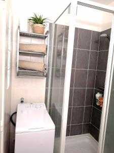 Appartements F2 Lumineux avec vue- Puy-de-Dome a 10 min - Parking gratuit : photos des chambres