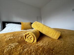 Central flat, Alton Towers, Waterworld