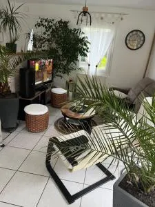 Villa le jasmin très calme - 圣加尔米耶