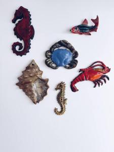 Monte Cucs - the nature house