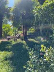 Maisons de vacances Petit paradis au bord du Rhone : photos des chambres