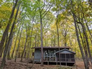 Autumn Wings - Propane Grill, Wifi, Kid Friendly, King Bed, Games, Screen Porch, Pool Access, Hiking - Berkeley Springs