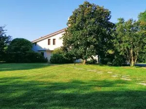 B&B Villa Elisa - Codognè