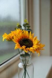 2 BDR Apt By Caledonia Luxe Stays Short Lets & Serviced Accommodation Bishopton