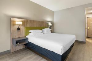 King Room - Non-Smoking room in Country Inn & Suites by Radisson Tampa Airport North FL