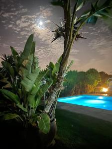Espectacular villa close to Sevilla - Sevillarooms