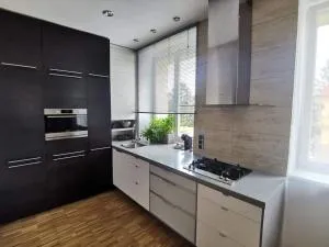 Like at home Brno - celý byt - Nennowitz