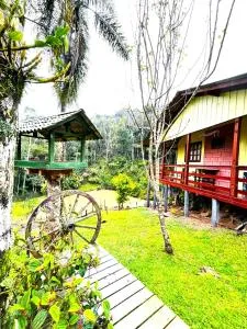 Sítio Nature - Barra Clara