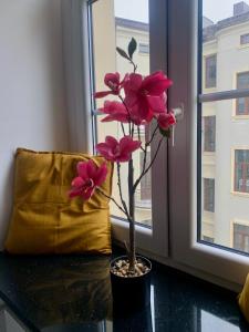 Perła ulicy Piotrkowskiej w samym centrum miasta