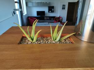 Villas BRETAGNE - La Villa Littorine : photos des chambres