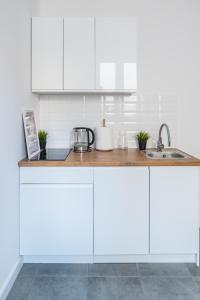 Torun Bridge Apartament