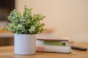 Extraordinary Prague Apartment