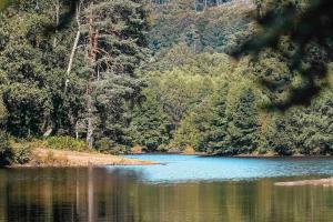 Maisons de vacances Ferme pleine nature en Correze : photos des chambres