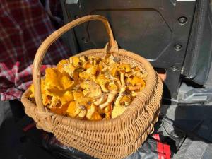Ferme pleine nature en Corrèze
