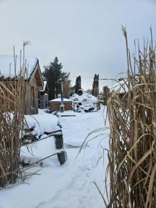 Oaza Mazurska - Willa Lasek