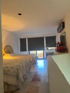 Departamento Marinaterra