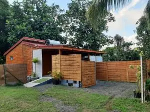 LA ROSE DE CHAMP FLEURY - Garnier