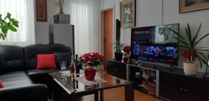 Apartment Jacuzzi Residence 