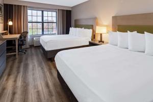 Queen Room with Roll-In Shower - Disability Access room in Country Inn & Suites by Radisson Salisbury MD