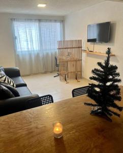 Depto. equipado, Dos Habitaciones, Centro Tulancingo