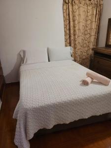 Apartamento a 3 cuadras de la Plaza Principal