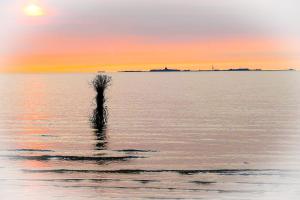 Haus Nordseebrandung NC74