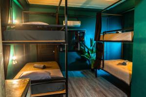 Scubadoo house and Diving