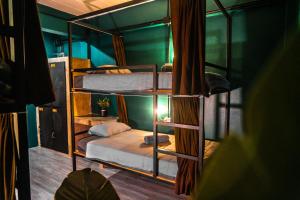 Scubadoo house and Diving