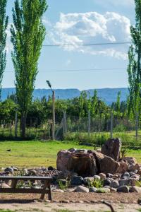 Cabañas La Montielita