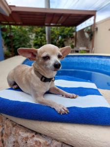 Casa Sol y Luna with pool in Merida Yuc