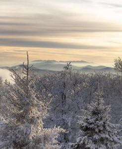 On Top Of Everything at Beech