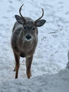 On Top Of Everything at Beech