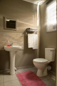 Alice@ Lloyd Guesthouse