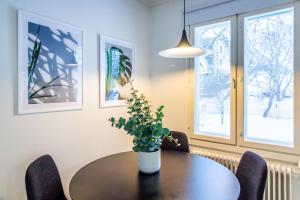 Villa Aurinko Studio Apartment in Hanko