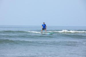 Woodpegger By The Beach, Mandrem