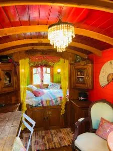 Centre médiation équine La Daouste - Beaumont-de-Pertuis