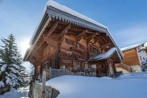 Chalet Luxe Les Orchis Alpe d'Huez - 于埃