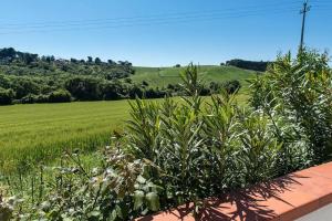 M355 - Marcelli, bilocale con giardino e parcheggio