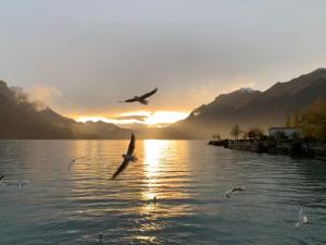 Al Porto Fantastic Lake & Mountain View Apartment