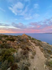 Appartements Centru Appart lumineux vue mer 5 min a pied de la plage et du centre : Appartement