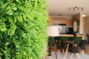 Green Cozy and Central 1BDRM Apartment