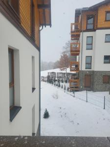 Apartament Pod Jelonkiem